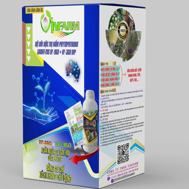 BỘ ĐÔI ĐẶC TRỊ NẤM PHYTOPTHORA