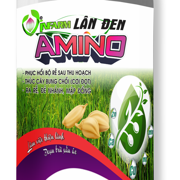 LÂN ĐEN AMINO – Chai 500ml